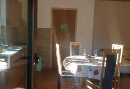 U Dorota كوجينتنيك